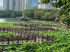 -南宁南湖公园