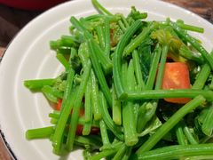 炝炒丝瓜尖-树厨贵州菜(大十字店)