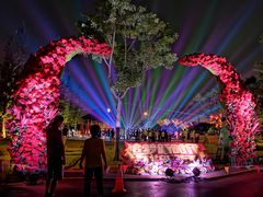 -万绿园