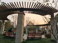 -成飞公园