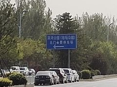 -大兴滨河森林公园