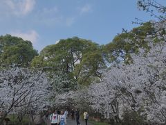 -南山植物园