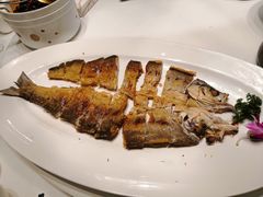 香煎翘嘴鱼-饭怕鱼(阳光100店)