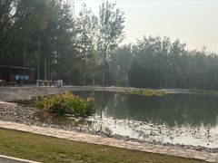 -永定河休闲森林公园