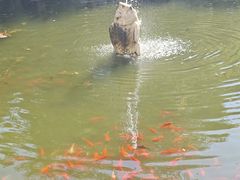 -天津水上公园