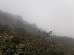 -大姆山草场