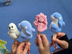 -秦皇岛乐岛海洋王国