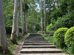 -火炉山森林公园