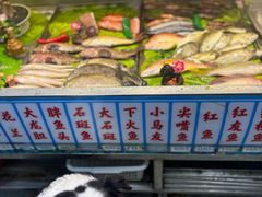 -琼菜人家·海南菜·文昌鸡(文昌大道店)