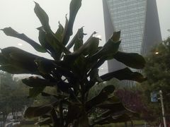 -老石烧烤(红旗大街店)