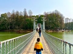 -东湖落雁景区