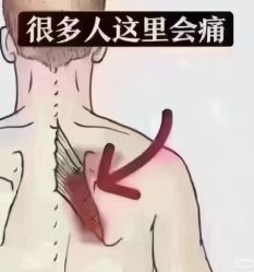 -瘦立方身材管理中心