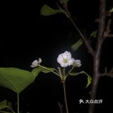 一起合道