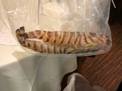 -海天花园酒家