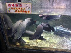-左海海底世界