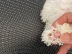 -comecome来吧宠物(奥克斯中心店)