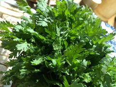 -十六蒲(桂林路店)