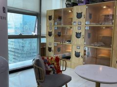 -小猫来了猫舍(福田店)