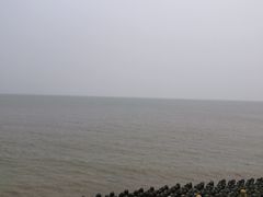 -瀛洲公园