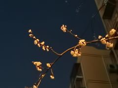 -法雅体育工厂店(皂君庙路店)