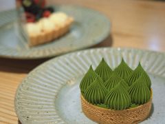 -猫里有甜