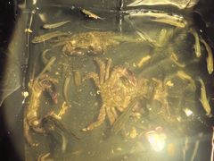 -平湖九龙山庄园圣马可酒店