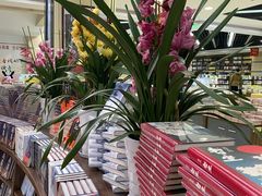 -新华书店(学府大道店)