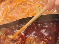 -朱光玉火锅馆(正弘城店)