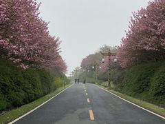 -宜兴龙背山森林公园