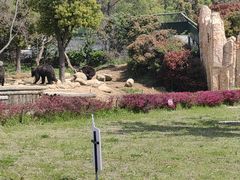 -南京汤山紫清湖生态旅游温泉度假区