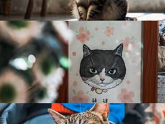 -海边的猫和咖啡馆