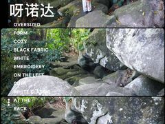 -呀诺达热带雨林