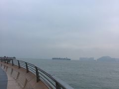 -演武大桥观景平台