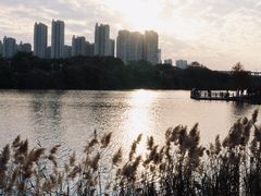 -厦门园林博览苑