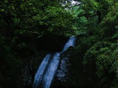 -瓦屋山景区