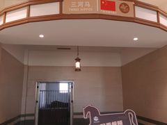 -中国马镇舞马世界主题乐园