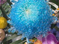 -双季花艺园艺市场(浦东店)