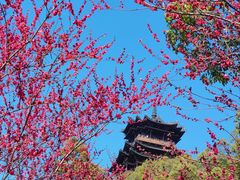 -杭州半山国家森林公园