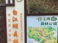 -广州白江湖森林公园