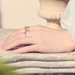 -Zbird钻石小鸟·钻戒婚戒定制高端珠宝私人定制中心