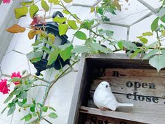 -Vanillacafe香草咖啡(银海大世界店)