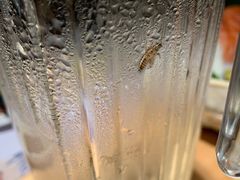 -萤初高端日料王(曲江银泰店)