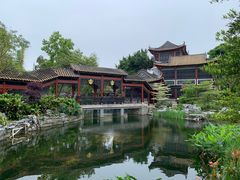 -顺峰山公园