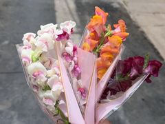 -上海鲜花港