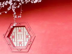 -桃花堤公园