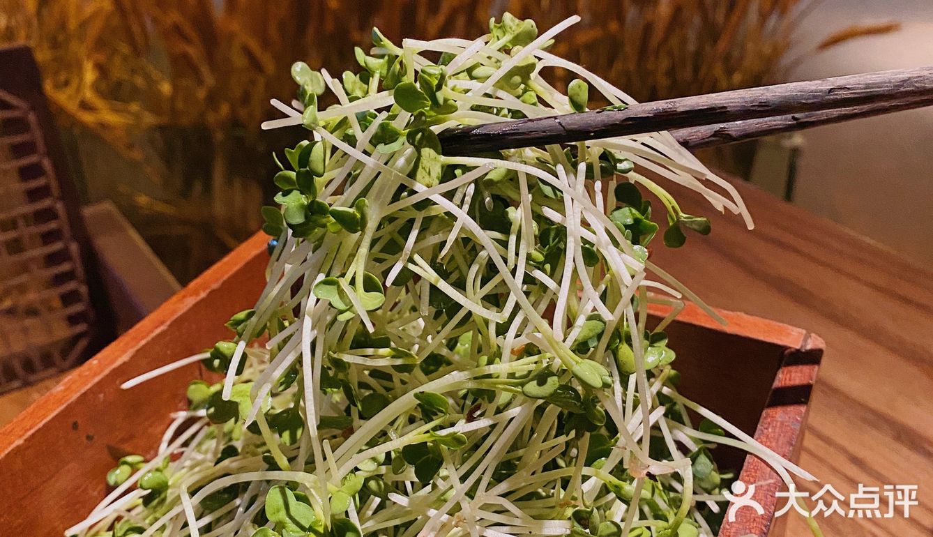 广州探店|秋意凉凉氛围感好餐厅🌾