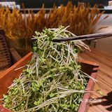 广州探店|秋意凉凉氛围感好餐厅🌾