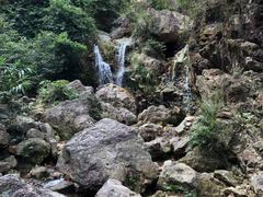 -南海湾森林生态园