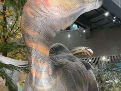 -湖南省地质博物馆