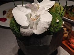 -南堂馆·新川菜(春熙路店)